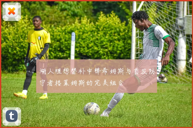 湖人理想替补中锋希姆斯与首发防守者格莱姆斯的完美组合